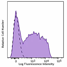 PerCP/Cyanine5.5 anti-mouse IgM