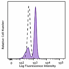 PerCP/Cyanine5.5 anti-STAT1 Phospho (Ser727)
