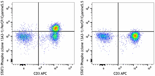 PerCP/Cyanine5.5 anti-STAT3 Phospho (Tyr705)