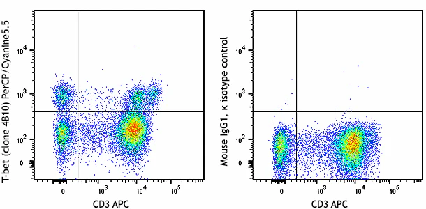 PerCP/Cyanine5.5 anti-T-bet