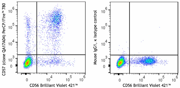 PerCP/Fire™ 780 anti-human CD57 Recombinant