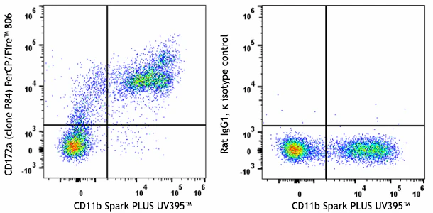 PerCP/Fire⢠806 anti-mouse CD172a (SIRPα)