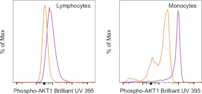 Phospho-AKT1 (Ser473) Monoclonal Antibody (SDRNR), Brilliant Ultra Violet 395, eBioscience