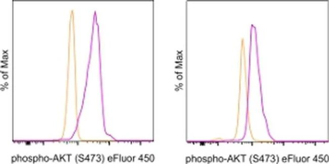 Phospho-AKT1 (Ser473) Monoclonal Antibody (SDRNR), eFluor 450, eBioscience