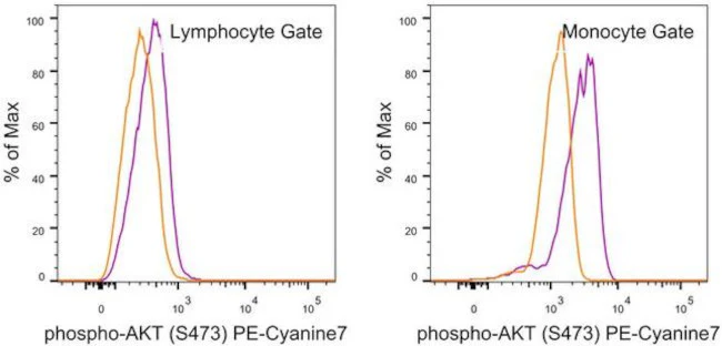 Phospho-AKT1 (Ser473) Monoclonal Antibody (SDRNR), PE-Cyanine7, eBioscience