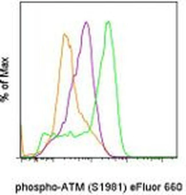 Phospho-ATM (Ser1981) Monoclonal Antibody (10H11.E12), eFluor 660, eBioscience