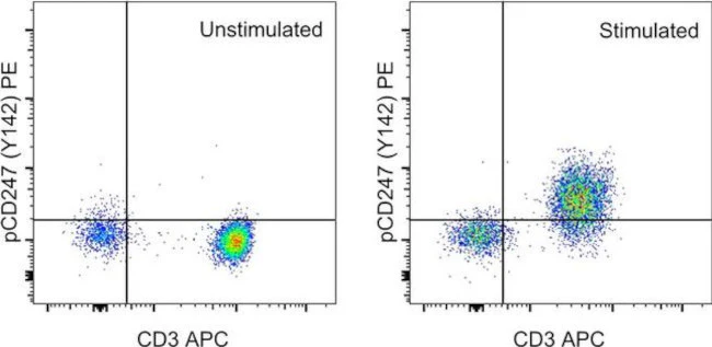 Phospho-CD247 (CD3 zeta) (Tyr142) Monoclonal Antibody (3ZBR4S), PE, eBioscience