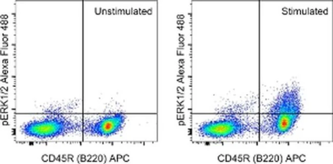 Phospho-ERK1/2 (Thr202, Tyr204) Monoclonal Antibody (MILAN8R), Alexa Fluor 488, eBioscience