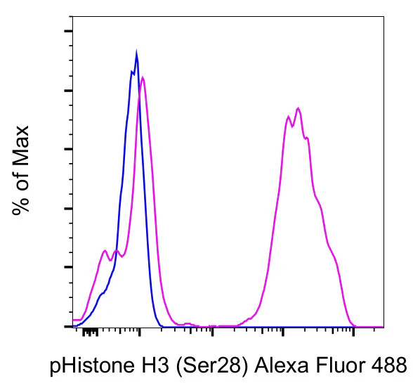 Phospho-Histone H3 (Ser28) Monoclonal Antibody (HTA28), Alexa Fluor 488, eBioscience