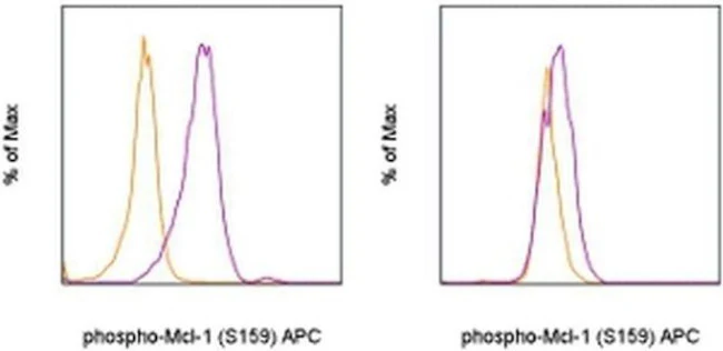 Phospho-MCL-1 (Ser159) Monoclonal Antibody (RBCERNR), APC, eBioscience