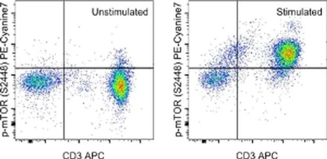Phospho-mTOR (Ser2448) Monoclonal Antibody (MRRBY), PE-Cyanine7, eBioscience