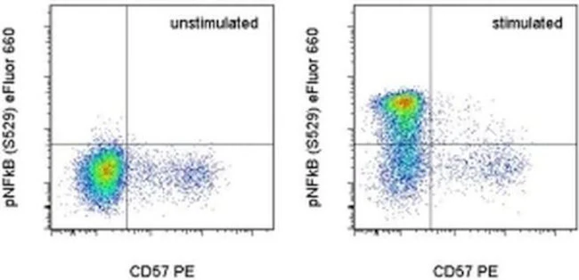Phospho-NFkB p65 (Ser529) Monoclonal Antibody (B33B4WP), eFluor 660, eBioscience