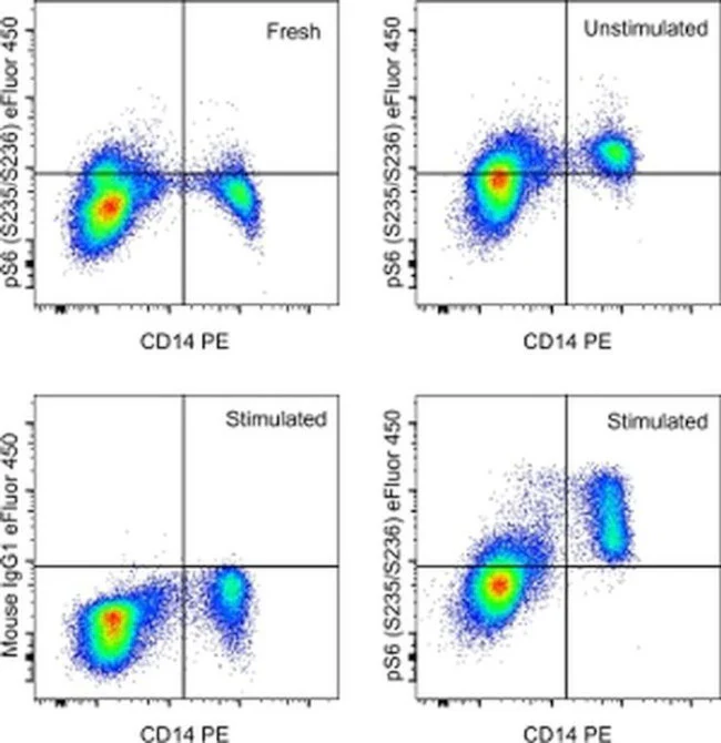 Phospho-S6 (Ser235, Ser236) Monoclonal Antibody (cupk43k), eFluor 450, eBioscience