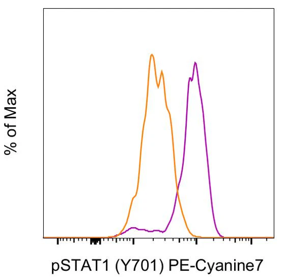 Phospho-STAT1 (Tyr701) Monoclonal Antibody (KIKSI0803), PE-Cyanine7, eBioscience