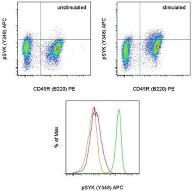 Phospho-Syk (Tyr348) Monoclonal Antibody (moch1ct), APC, eBioscience