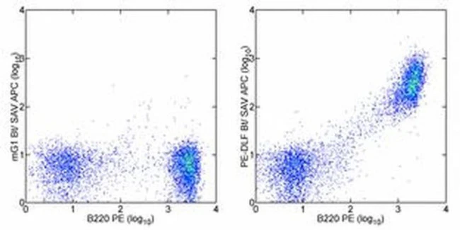 Phycoerythrin Monoclonal Antibody (eBioPE-DLF), Biotin, eBioscience