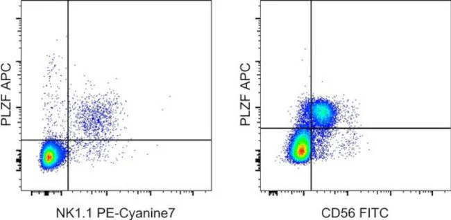 PLZF Monoclonal Antibody (9E12), APC, eBioscience
