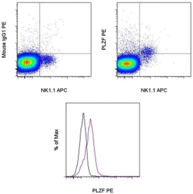 PLZF Monoclonal Antibody (Mags.21F7), PE, eBioscience