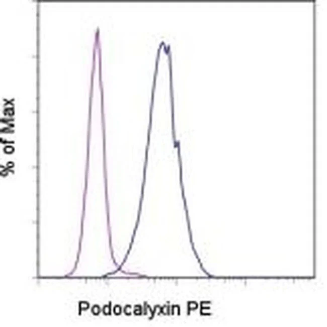 Podocalyxin Monoclonal Antibody (B34D1.3), PE, eBioscience