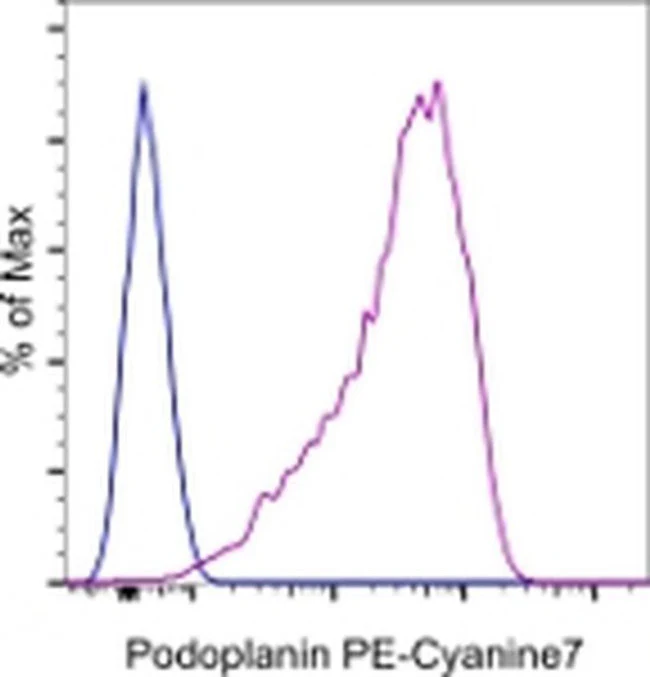 Podoplanin Monoclonal Antibody (eBio8.1.1 (8.1.1)), PE-Cyanine7, eBioscience
