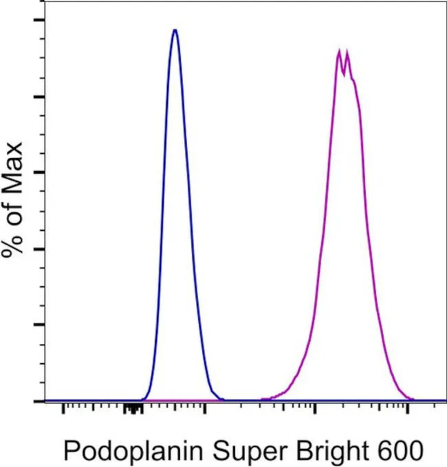 Podoplanin Monoclonal Antibody (eBio8.1.1 (8.1.1)), Super Bright 600, eBioscience
