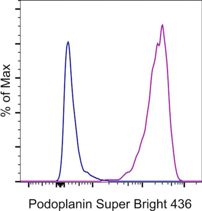 Podoplanin Monoclonal Antibody (eBio8.1.1(8.1.1)), Super Bright 436, eBioscience