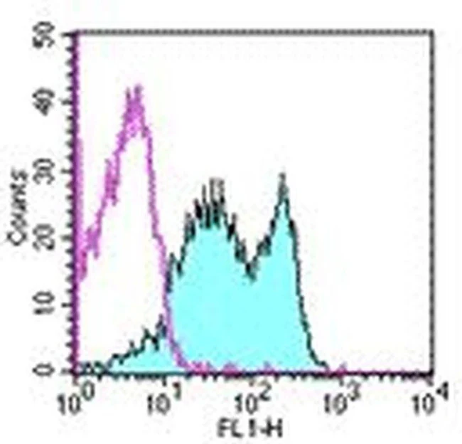 Qa-2 Monoclonal Antibody (69H1-9-9), FITC, eBioscience