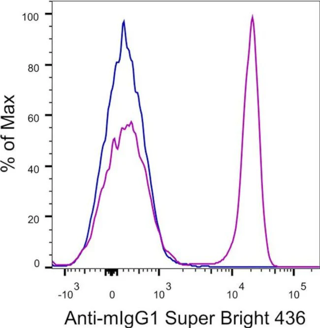 Rat anti-Mouse IgG1 Secondary Antibody, Super Bright™ 436