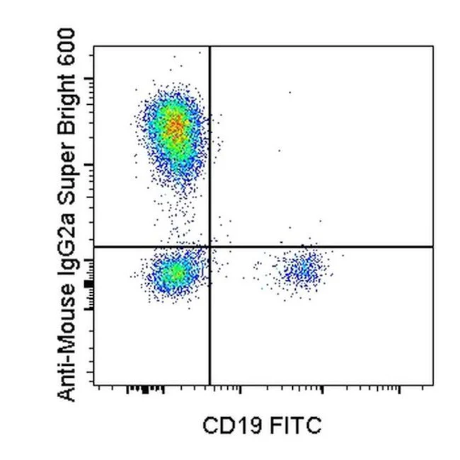 Rat anti-Mouse IgG2a Secondary Antibody, Super Bright 600, eBioscience