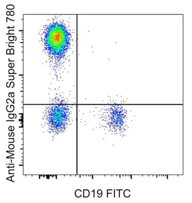 Rat anti-Mouse IgG2a Secondary Antibody, Super Bright 780, eBioscience