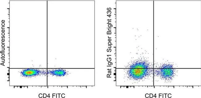 Rat IgG1 kappa Isotype Control (eBRG1), Super Bright™ 436