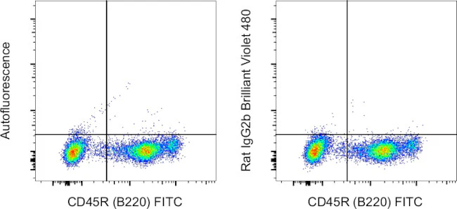 Rat IgG2b kappa Isotype Control (eB149/10H5), Brilliant Violet 480, eBioscience
