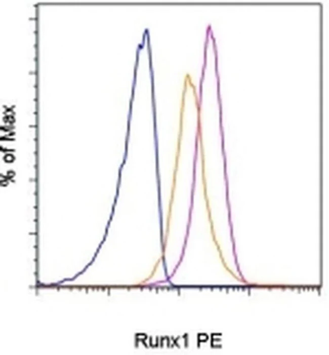 RUNX1 Monoclonal Antibody (RXDMC), PE, eBioscience