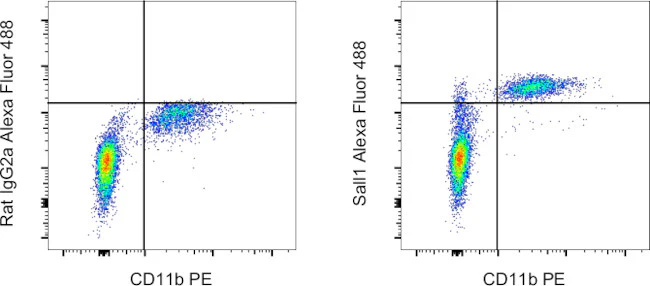 Sall1 Monoclonal Antibody (NRNSTNX), Alexa Fluor 488, eBioscience