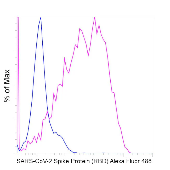 SARS-CoV-2 Spike Protein (RBD) Chimeric Recombinant Rabbit Monoclonal Antibody (P05DHuRb), Alexa Fluor 488, eBioscience