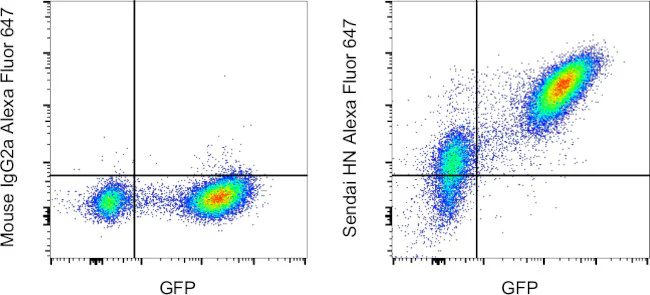 Sendai virus HN Monoclonal Antibody (1A6), Alexa Fluor 647, eBioscience