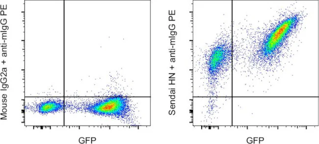 Sendai virus HN Monoclonal Antibody (1A6), eBioscience