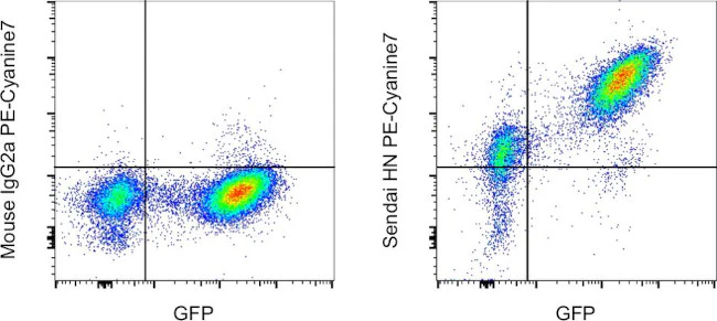 Sendai virus HN Monoclonal Antibody (1A6), PE-Cyanine7, eBioscience