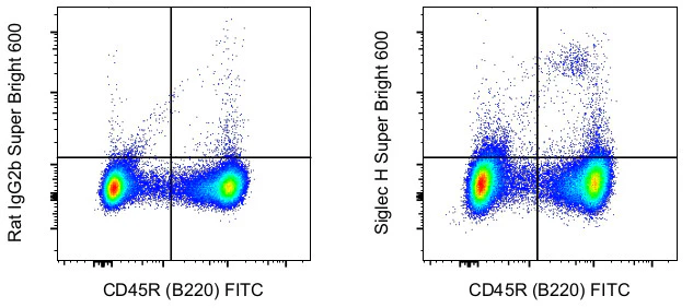 SIGLEC H Monoclonal Antibody (eBio440c), Super Bright 600, eBioscience