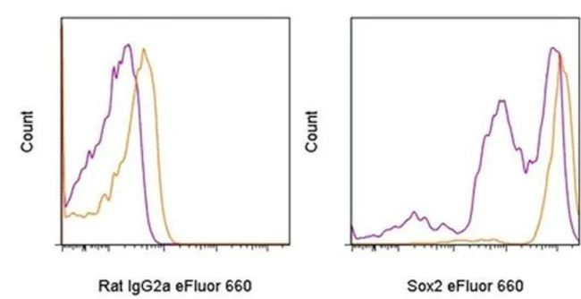 SOX2 Monoclonal Antibody (Btjce), eFluor 660, eBioscience