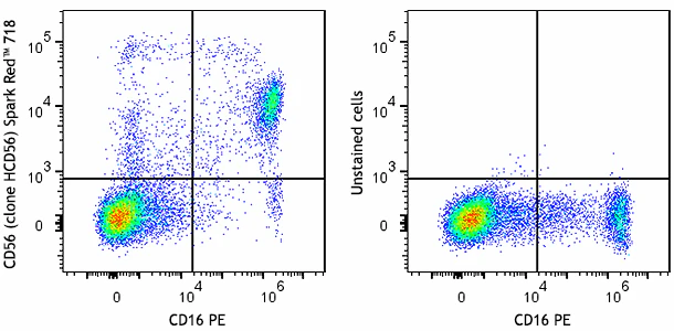 Spark Red™ 718 anti-human CD56 (NCAM)
