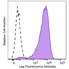 Spark Violet™ 423 anti-human CD138 (Syndecan-1)