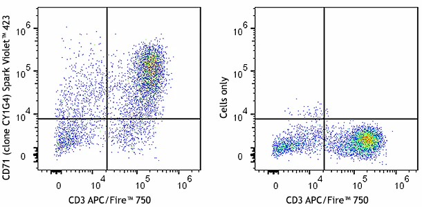 Spark Violet™ 423 anti-human CD71 - Image 2