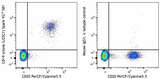 Spark YG™ 581 anti-human CD19