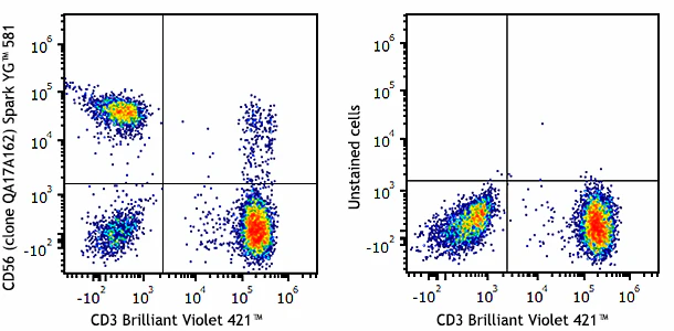 Spark YG™ 581 anti-human CD56 (NCAM) Recombinant