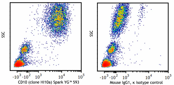 Spark YG™ 593 anti-human CD10