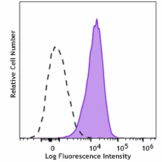 Spark YG™ 593 anti-human CD105