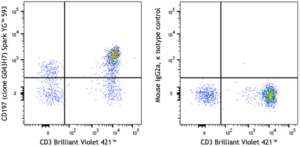 Spark YGâ„¢ 593 anti-human CD197 (CCR7)