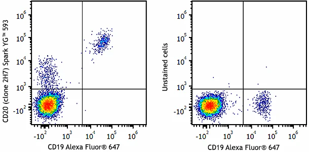 Spark YG™ 593 anti-human CD20