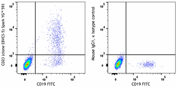 Spark YG™ 593 anti-human CD23